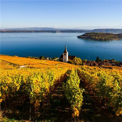 万博全站ManBetX4.79下载下载手机版